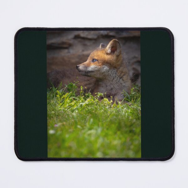Item preview, Red Fox Kit Relaxing designed and sold by Shannon Emmel .