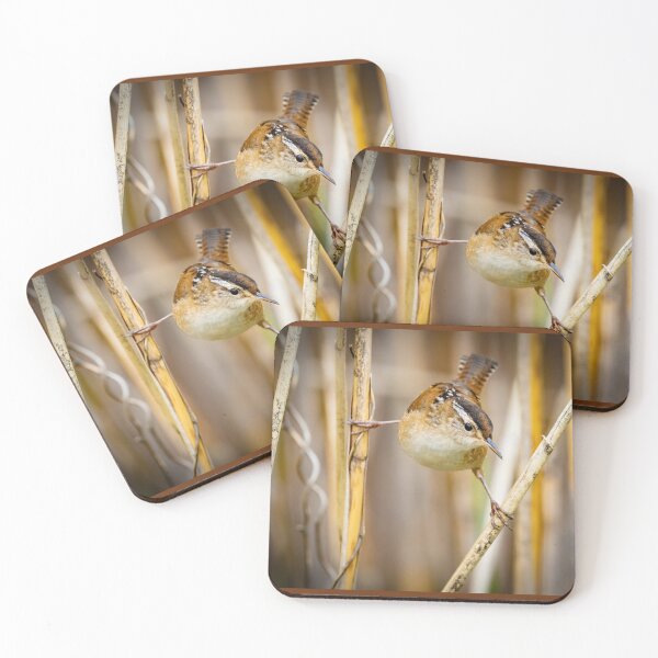Item preview, The Elusive Marsh Wren  designed and sold by Shannon Emmel .