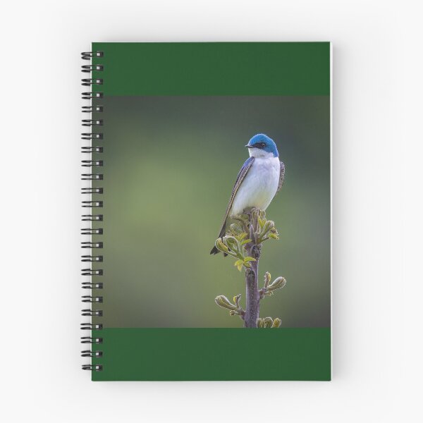 Item preview, Tree Swallow on a Young Tree designed and sold by Shannon Emmel .