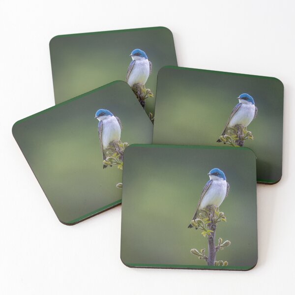 Item preview, Tree Swallow on a Young Tree designed and sold by Shannon Emmel .