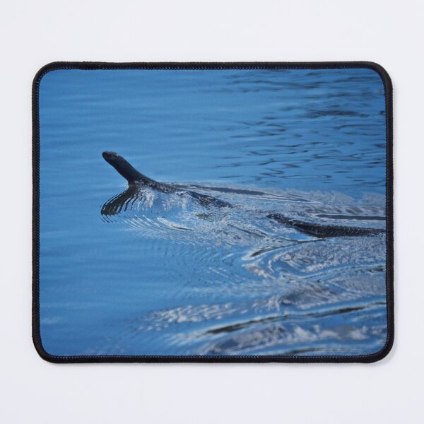 Item preview, Danger in the Water designed and sold by D-GaP.