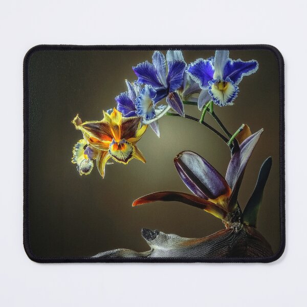 Item preview, Ikebana with orchids designed and sold by andreisky.