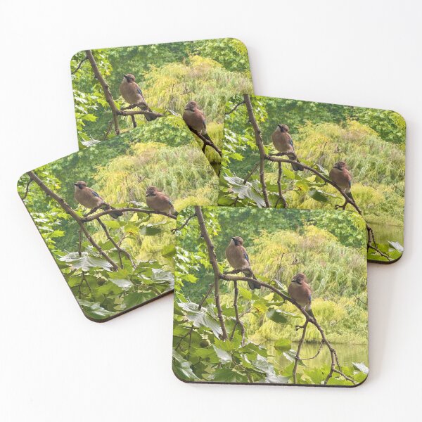Item preview, A pair of Jays in London’s St James Park designed and sold by The Running London Photographer.