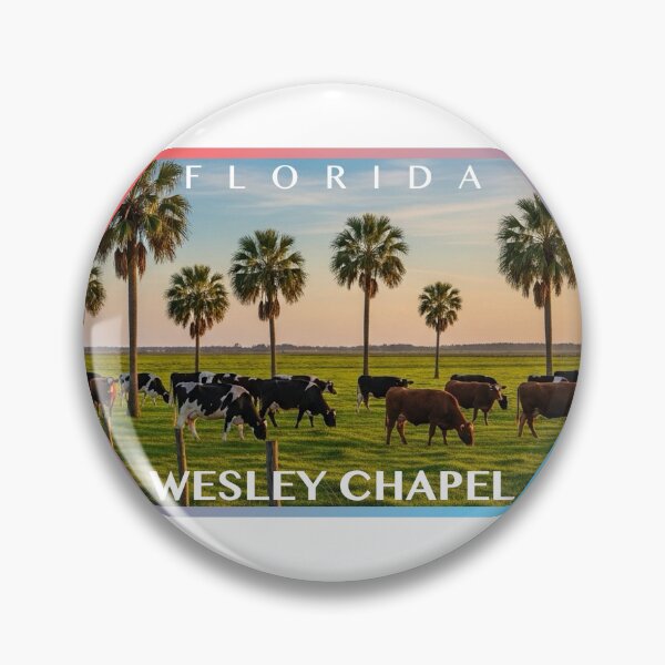 Item preview, Wesley Chapel Florida Postcard Sticker designed and sold by TrueSouth.