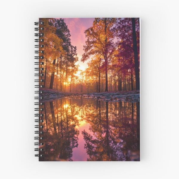Aperçu de l'œuvre Reflet du coucher de soleil dans une forêt d'automne dorée dans une eau tranquille créée et vendue par EL-Lebedenko.