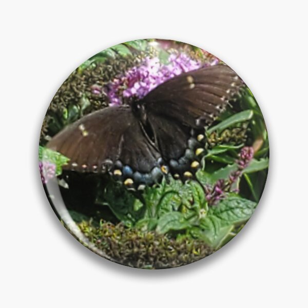 Item preview, Butterfly resting on flowers designed and sold by Nicholes  Dream Visions.