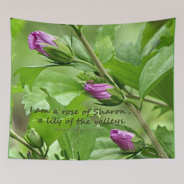Item preview, Song of Solomon 2:1 designed and sold by Frankie Cat Photography.