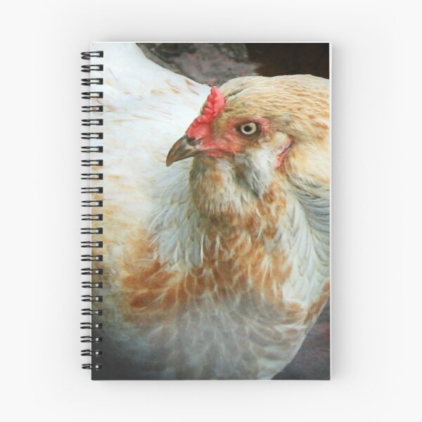 Item preview, ~ oh, don't get your feathers ruffled up! ~ designed and sold by Claude Johnson.