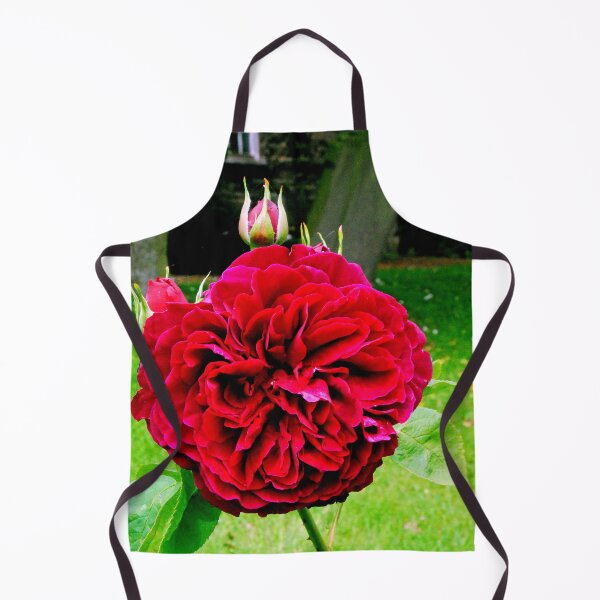 Item preview, Purple Red Rose Summer Flower Flowering Plant designed and sold by AndyEvansPhotos.