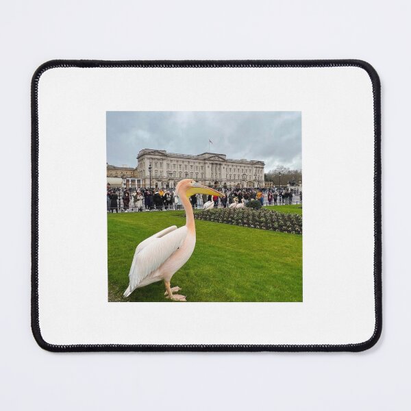 Item preview, Pelicans on Parade. Buckingham Palace, London designed and sold by The Running London Photographer.