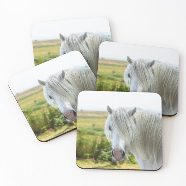 Item preview, Welsh Mountain Pony designed and sold by Jane Stanley Photography.