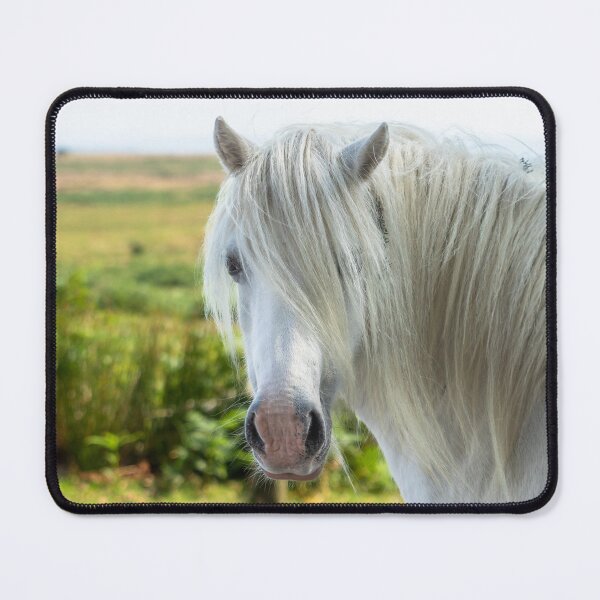 Item preview, Welsh Mountain Pony designed and sold by Jane Stanley Photography.