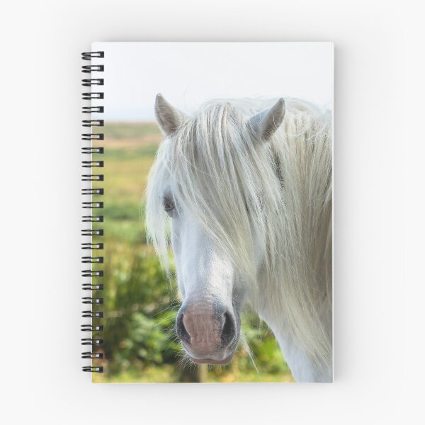 Item preview, Welsh Mountain Pony designed and sold by Jane Stanley Photography.