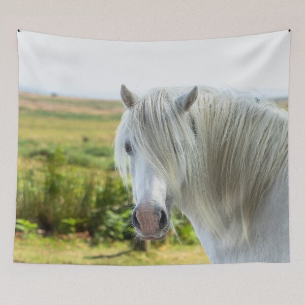Item preview, Welsh Mountain Pony designed and sold by Jane Stanley Photography.