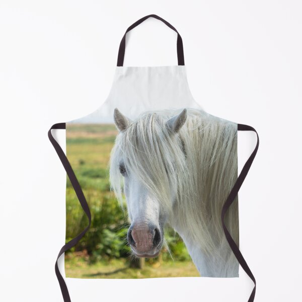 Item preview, Welsh Mountain Pony designed and sold by Jane Stanley Photography.