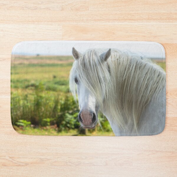 Item preview, Welsh Mountain Pony designed and sold by Jane Stanley Photography.
