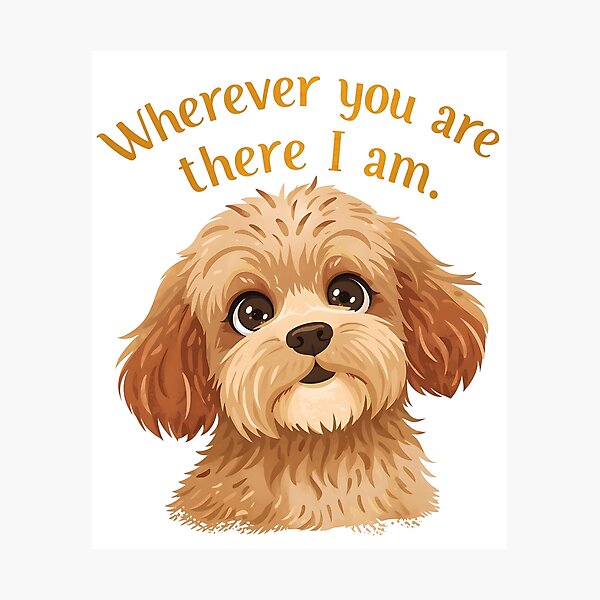 Item preview, Sweet cavapoo Wherever you are, there I am designed and sold by OhMyCotton.