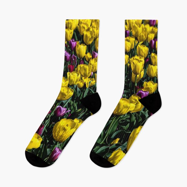 Item preview, Princely Mix 'Single Early Type' Tulips designed and sold by JLW Photos.
