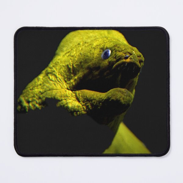 Item preview, A moray eel as a portrait ocean | unique photo art designed and sold by DiveDuke.