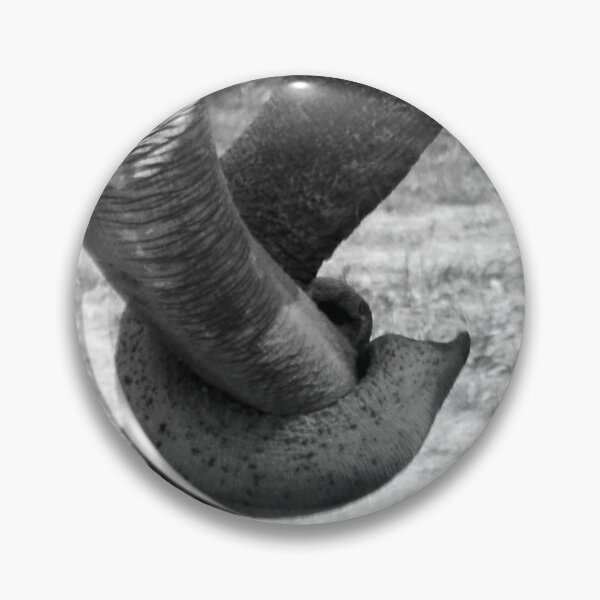 Item preview, In Love designed and sold by JLW Photos.