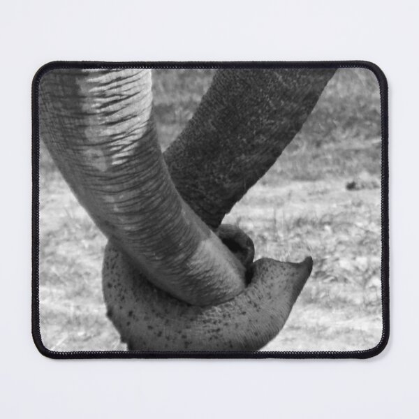 Item preview, In Love designed and sold by JLW Photos.