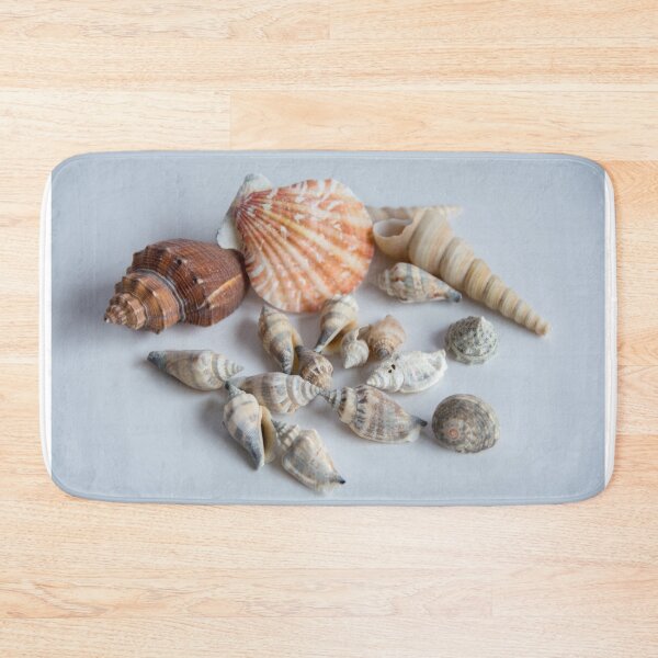 Item preview, Summer Shells designed and sold by JLW Photos.