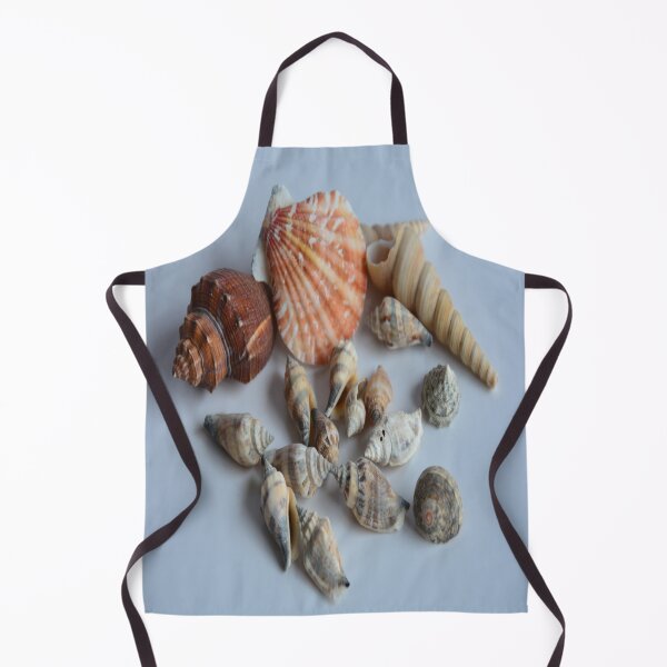 Item preview, Summer Shells designed and sold by JLW Photos.
