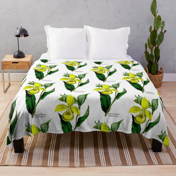 Item preview, Cypripedium irapeanum, Mexican Yellow Slipper Orchid designed and sold by GreenVerseStore.