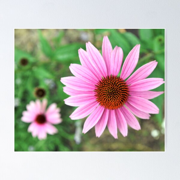 Item preview, You Want Flowers?-2 designed and sold by Mark Chevalier.