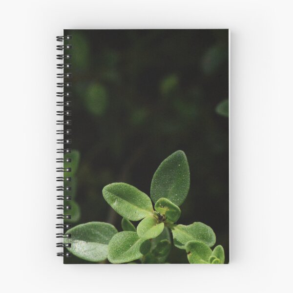 Item preview, green leaves against dark background, bothany, dark aesthetics,  designed and sold by AgaSilva.