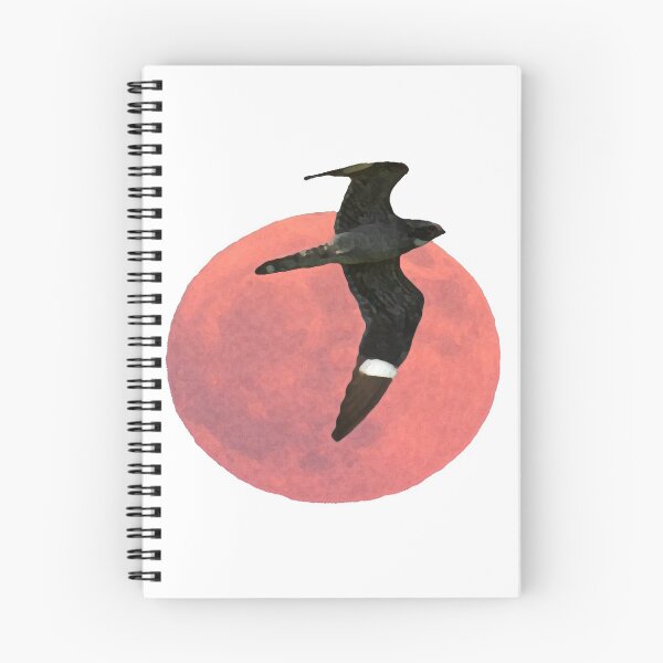 Item preview, Common Nighthawk designed and sold by Liam Wolff.