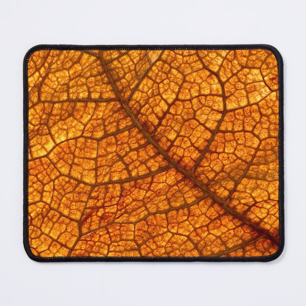 Item preview, Leaf veins close-up designed and sold by Bunchable.