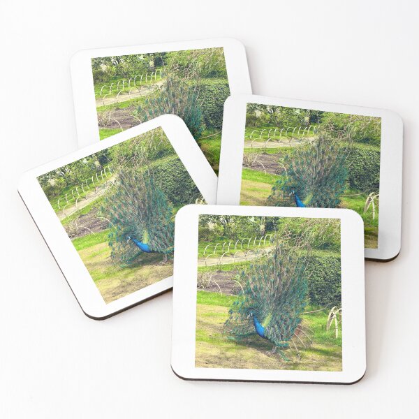 Item preview, What a Poser!  Posturing Peacock in Holland Park London designed and sold by The Running London Photographer.