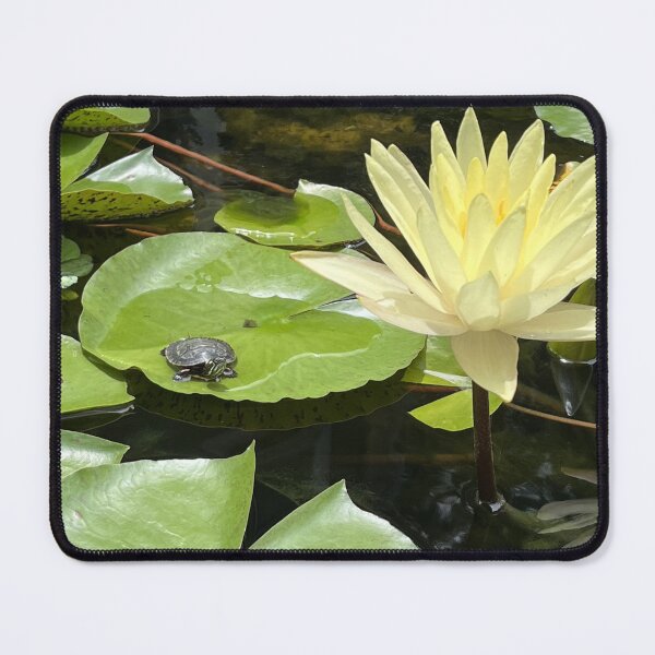 Item preview, Ms Turtle on a Lily Pad just enjoying the day designed and sold by Whiskered Garden Studio.