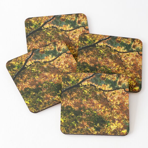 Item preview, Acer Trees Capturing Autumnal Sunlight designed and sold by Dorset Girl.