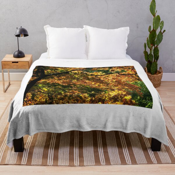 Item preview, Acer Trees Capturing Autumnal Sunlight designed and sold by Dorset Girl.