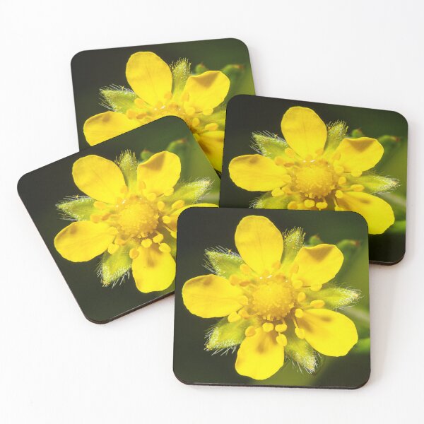 Item preview, Yellow Wildflower (Potentilla reptans) Macro – Botanical Nature Photography Print designed and sold by 3 Hours of Silence.