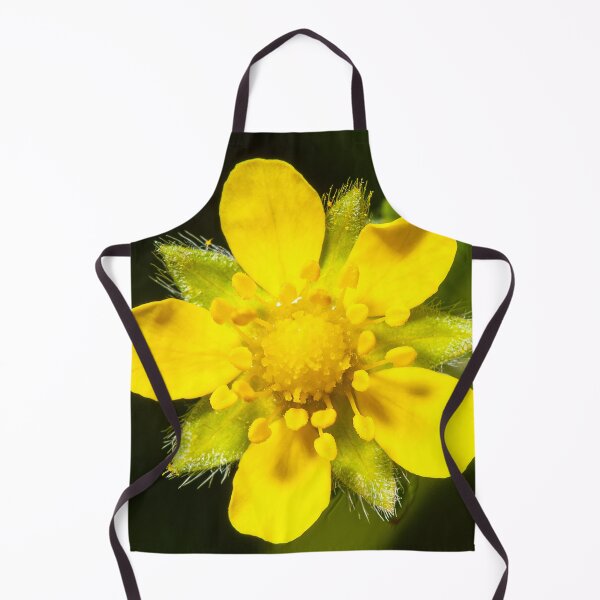 Item preview, Yellow Wildflower (Potentilla reptans) Macro – Botanical Nature Photography Print designed and sold by 3 Hours of Silence.