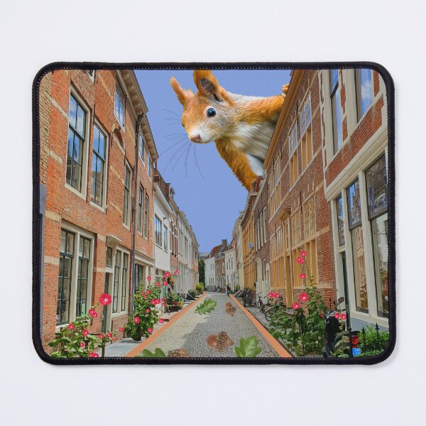 Item preview, Collage squirrels in Middelburg designed and sold by Zeewind.