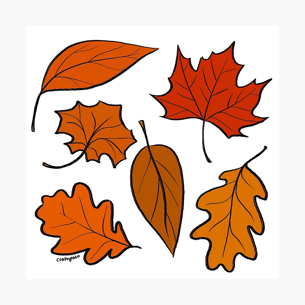 Autumn leaves Poster