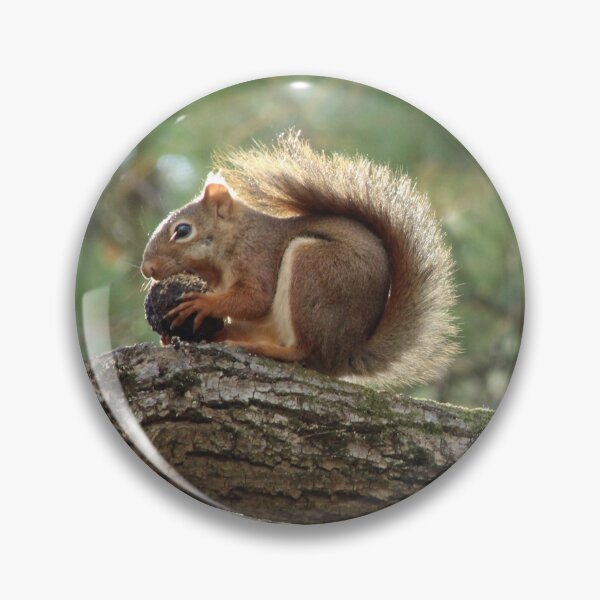 Item preview, This nut is MINE designed and sold by AmazingAmanda42.