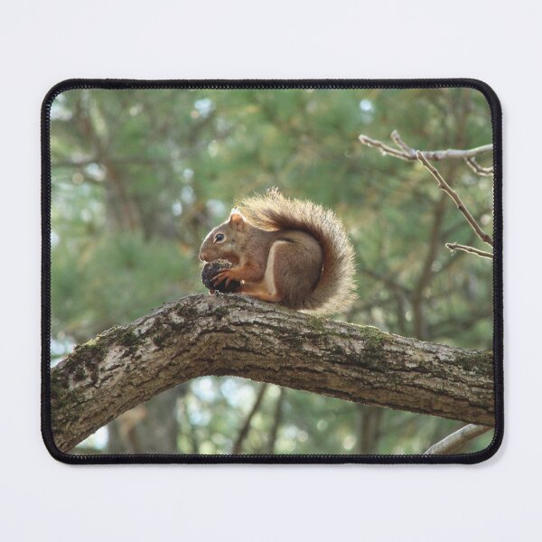 Item preview, This nut is MINE designed and sold by AmazingAmanda42.