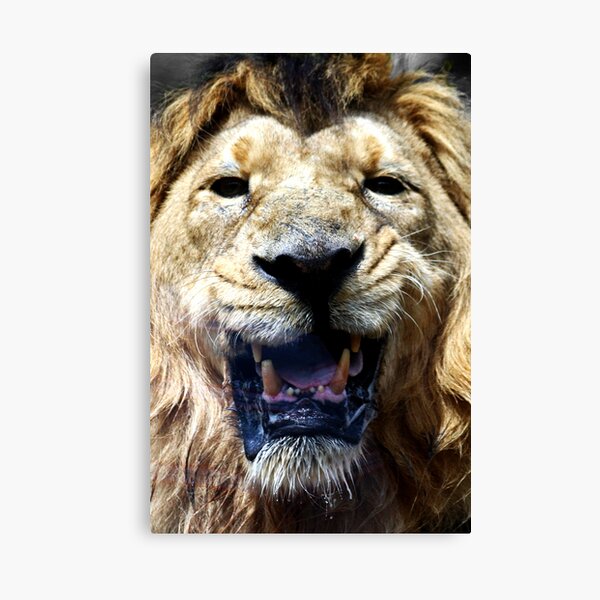 Ashok! Canvas Print