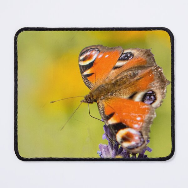Item preview, Little fox on lavender – nature moment designed and sold by Katja LebenFreude.