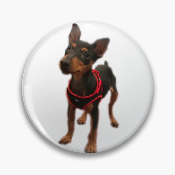 Item preview, Simon puppy designed and sold by JL361.