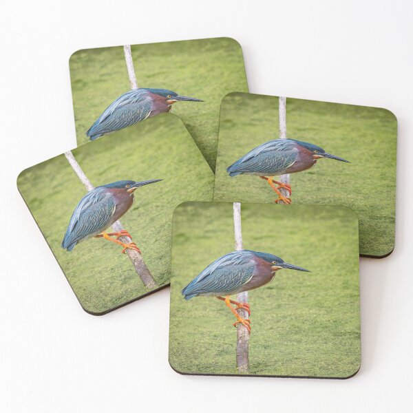 Item preview, Green Heron on the Hunt designed and sold by Shannon Emmel .