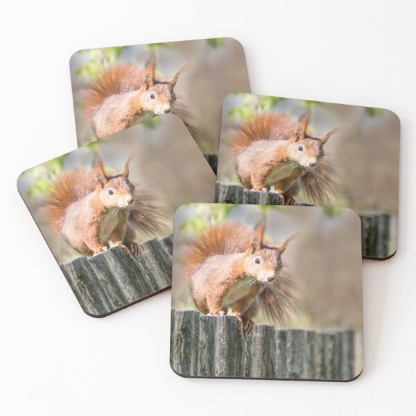 Item preview, wildlife friend eichhörnchen designed and sold by Katja LebenFreude.