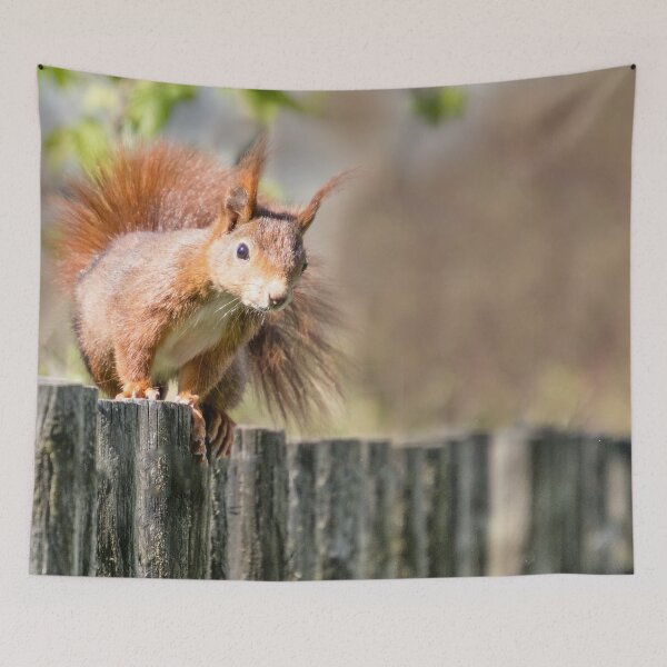Item preview, wildlife friend eichhörnchen designed and sold by Katja LebenFreude.