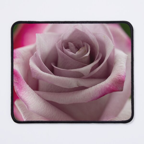 Item preview, Purple Tinted Rose designed and sold by ishotit4u.