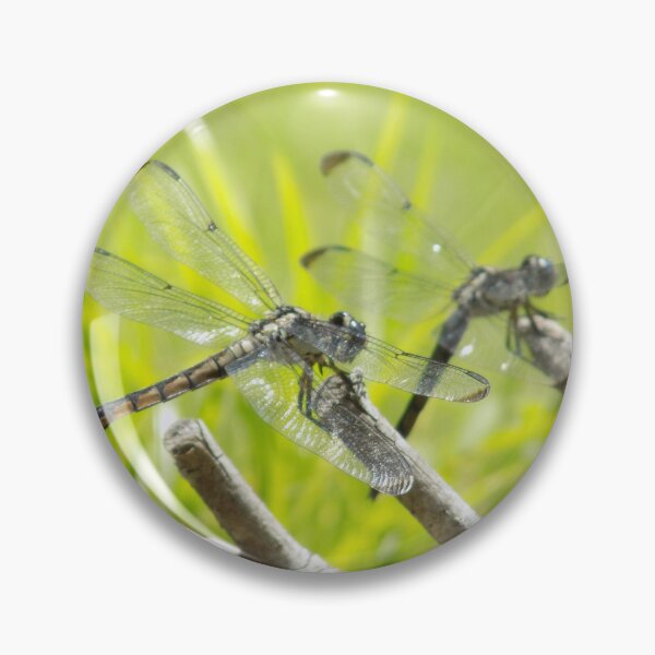 Item preview, Dragonflys designed and sold by opalescent-dreams.